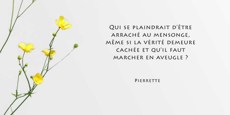 5-arrache-au-mensonge