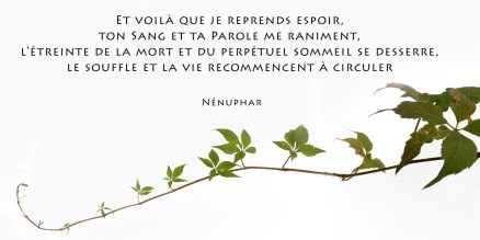 8-je-reprends-espoir