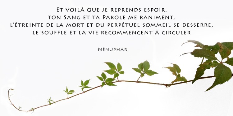 8-je-reprends-espoir