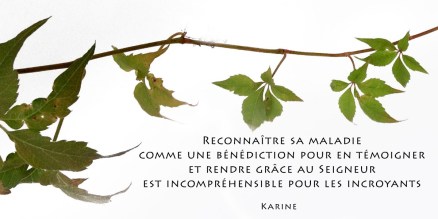 8-rendre-grace-seigneur