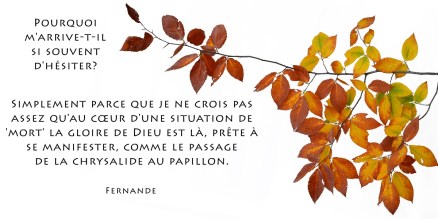 10-chrysalide-papillon