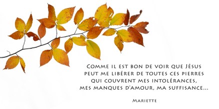 10-liberer-intolerances