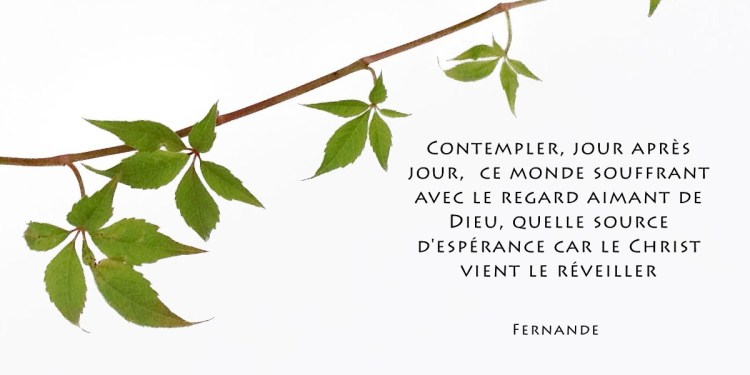 8-contempler-monde-souffrant