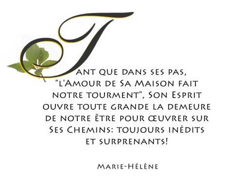 8-inedits-et-surprenants